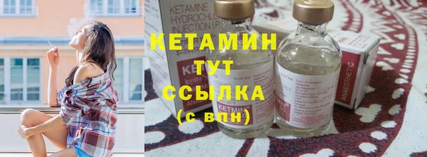 шишки Верея